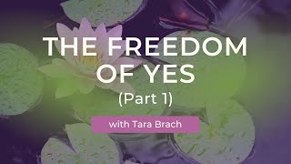 Embracing Freedom with the Power of Yes A Teaching on SelfAcceptance with Tara Brach [upl. by Beesley]