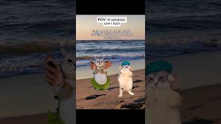 Gatti vacanze al mare shorts memes gatto cat [upl. by Neela]