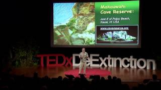 Rewilding Ecological Surrogacy and Now Deextinction David Burney at TEDxDeExtinction [upl. by Ariom312]