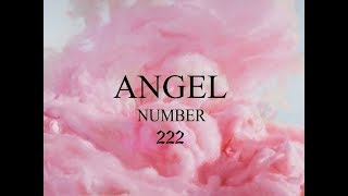 Angel Number 222 Attunement  Soulmate Love  Omniminal [upl. by Simonette]