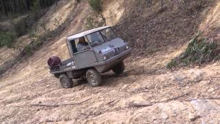 Haflinger 4x4 playing I A fun pit [upl. by Griffy]