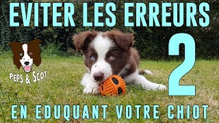 Eviter les ERREURS déducation avec son Chiot Vol2 [upl. by Assila]