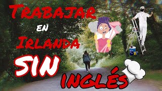 Trabajar en Irlanda sin INGLES 🇮🇪😱 [upl. by Eidarb]