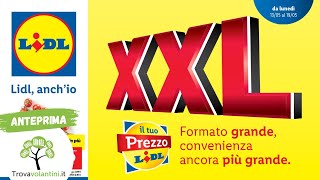 VOLANTINO LIDL dal 13 al 19 maggio 2024 anteprima [upl. by Notnel]