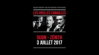 quotJOUE PAS DE ROCKNROLL POUR MOIquot par E Mitchell et Johnny Hallyday concert LVC3 juillet 2017 [upl. by Ailadi]