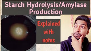 Starch HydrolysisBacterial Amylase ProductionFungiMechanismRohit Mane Scientistracademy [upl. by Suoirred]