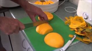 Dehydrating Mangoes [upl. by Nelac]