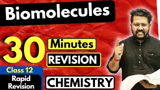 Biomolecules Class 12  Chemistry  Full Revision in 30 Minutes  JEE NEET CUET BOARDS [upl. by Aissert880]