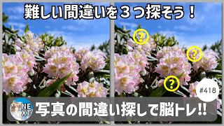 『間違い探し』写真で脳トレ！ 418 「シャクナゲの花」「ワタスゲ」「しだれ梅」【高難易度】｜Find the difference game in photos [upl. by Studnia168]