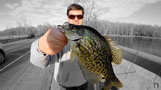 Catching some south New Jersey SLAB CRAPPIES [upl. by Gertrudis778]