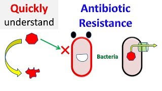 Antibiotic resistance [upl. by Colp]