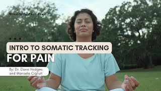 Intro to Somatic Tracking for Pain and Guided Practice for Pelvic Pain [upl. by Evander]