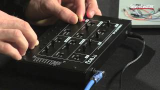 Using the Moog Werkstatt with Ableton Live  Sweetwater Sound [upl. by Kowalski593]