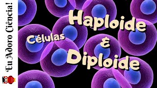 Células Haploide n e Diploide 2n [upl. by Audry487]