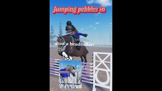 Riding Pebbles In JUST A HEADCOLLAR How many times did I fall [upl. by Edgard]