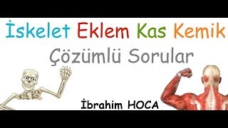 4 Sınıf Fen Bilgisi İskelet Kemik Eklem Kas [upl. by Mamoun]