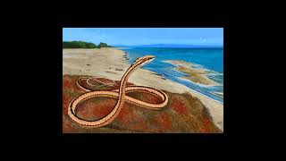 Psammophis Odysseus  PaleoPedias 🇪🇸 [upl. by Liggitt]