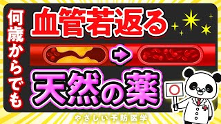 【医師解説】何歳からでも血管を若返らせる！天然の薬について解説（血管） [upl. by Divadnahtanoj]