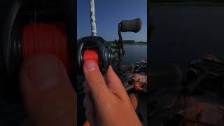 No Backlash funny fishing fishingtiktoks trending [upl. by Dronel]