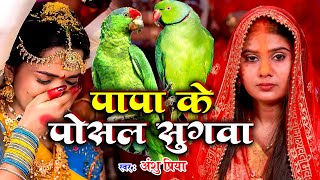 बेटी विवाह गीत  पापा के पोसल सुगवा  Anshu Priya Shadi Vivah Geet  Anshu Priya Beti Vivah Geet [upl. by Suivatra440]