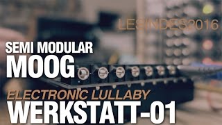 MOOG WERKSTATT 01  ELECTRONIC LULLABY [upl. by Yenroc256]