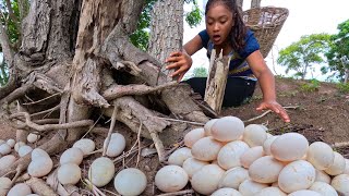 Beally Amazing Really Skilled farmer finds many duck eggs near tree trunk [upl. by Sumerlin805]