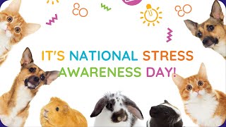 Its National Stress Awareness Day [upl. by Helms]