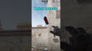 Very nice molly on default [upl. by Ahsikad]