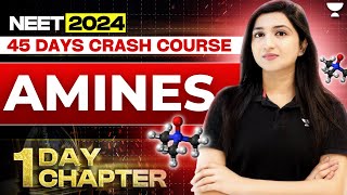 1 Day 1 Chapter Amines  45 Days Crash Course  NEET 2024  Akansha Karnwal [upl. by Ekenna]