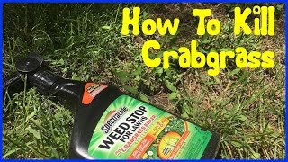 How to Kill Crabgrass  Spectracide Crabgrass Killer [upl. by Fabriane527]