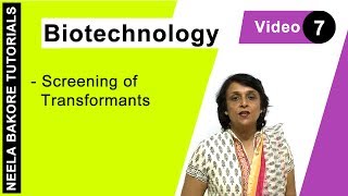 Biotechnology  NEET  Screening of Transformants  Neela Bakore Tutorials [upl. by Ieso613]