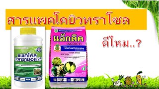 สารแพคโคบิวทราโซลPaclobutrazol PBZสารทำผลไม้นอกฤดู [upl. by Leacock]