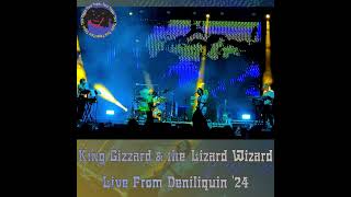 King Gizzard amp The Lizard Wizard  Billabong Valley  Deniliquin 24 [upl. by Gavrilla340]