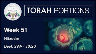 Torah Portions  Week 51  Nitzavim  Deuteronomy 299  3020 20202021 [upl. by Aleahs]