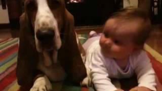 Basset hound and baby [upl. by Tiebold]