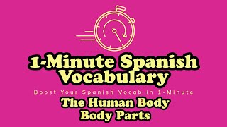 Body Parts in Spanish  Las Partes del Cuerpo en Español [upl. by Ande436]