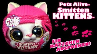 Zuru ® Pets Alive ™ Smitten Kittens ™ Kätzchen auspacken mit Sound  Flasche  Streu  Stickers etc [upl. by Eiramllij]