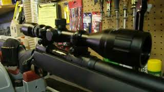 Bushnell 412x40 Riflescope Review  Donnie D [upl. by Mihsah258]