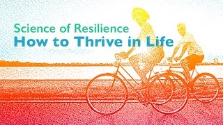 What is the meaning of resilience [upl. by Veats]