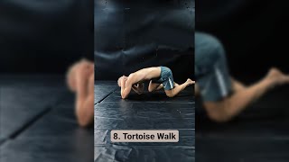 New 10 Different Animal Walk Exercises [upl. by Nerte373]