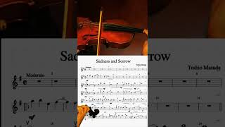 NARUTO SADNESS AND SORROW FREE VIOLIN EASY PLAY ALONG JL03 [upl. by Meares]