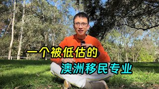 澳洲社区工作者好移民还没泛滥，因为缺点太明显 [upl. by Dazraf]