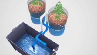 Super Simple Ebb amp Flow Hydroponics System [upl. by Dannie]