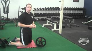 How To Correctly Do Ab Wheel Roll Out Exercise [upl. by Ahsak]