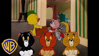 Tom amp Jerry  Cutest Little Animals 🐣🐱🐶  Classic Cartoon Compilation  wbkids​ [upl. by Haodnanehs31]