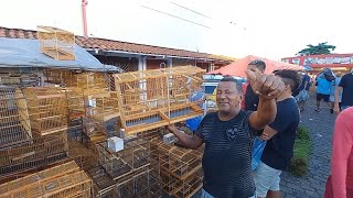 FEIRA DO CORDEIRO RECIFE PERNAMBUCO ACESSÓRIOS GAIOLAS PASSARINHO [upl. by Acina]