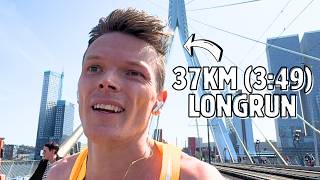 5 km Wedstrijd amp 37 km Longrun binnen 2 Dagen Marathontraining Werpt Vruchten Af vlog [upl. by Einra]