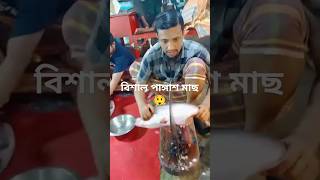 মাত্র ১০ মিনিটে বিশাল একটি পাঙ্গাশ মাছ কেটে ফেললো দেখলে অবাক হবেনreels fish cutting vairalshort [upl. by Rednal]