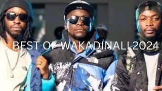 🔥🔥🔥⚡️BEST OF WAKADINALI MIX 2024 2023 Ft mc mcasikutambuicase closedTourist by Dj sunset [upl. by Skelton]