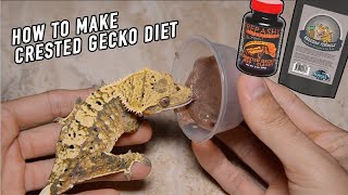 How to Make Crested Gecko Diet What WE Feed [upl. by Gwynne]